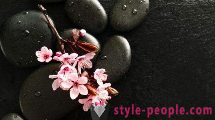 „Sakura”: czyli jak masaż, procedury, zwłaszcza