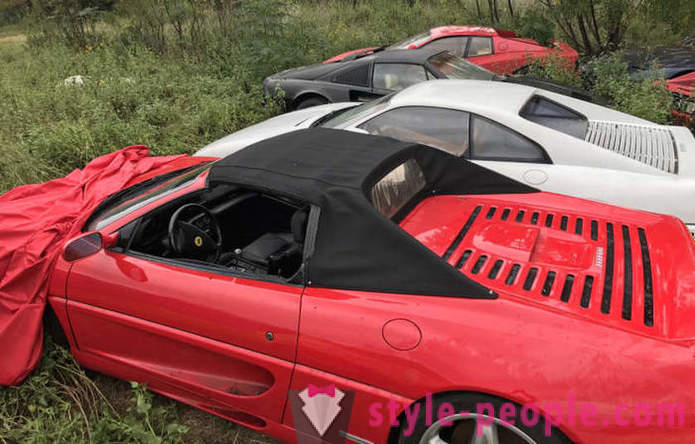 W USA, okazało się pole z porzuconych samochodów Ferrari