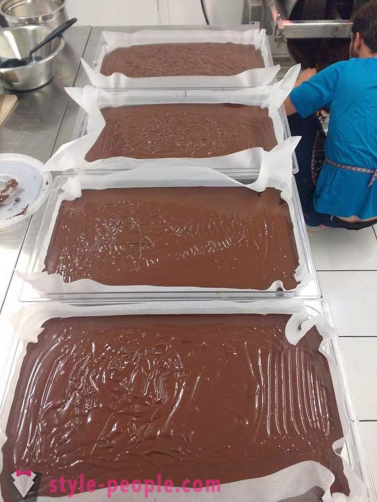 Proces hodowli i wytwarzania czekolady