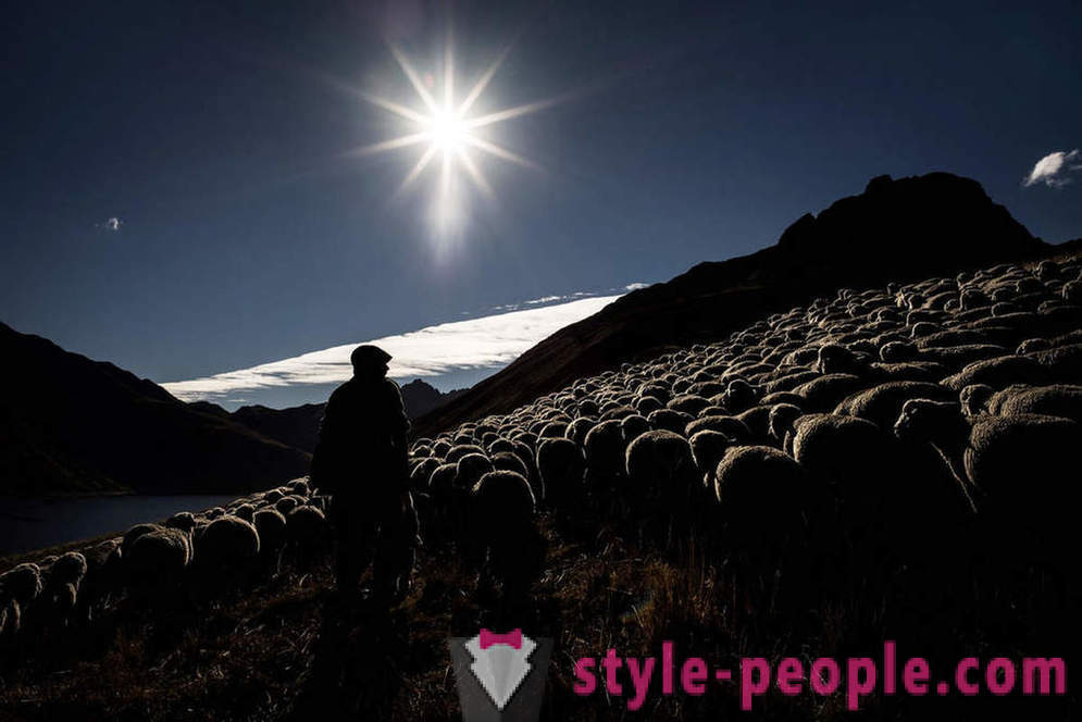 Życie pasterza w Alpach