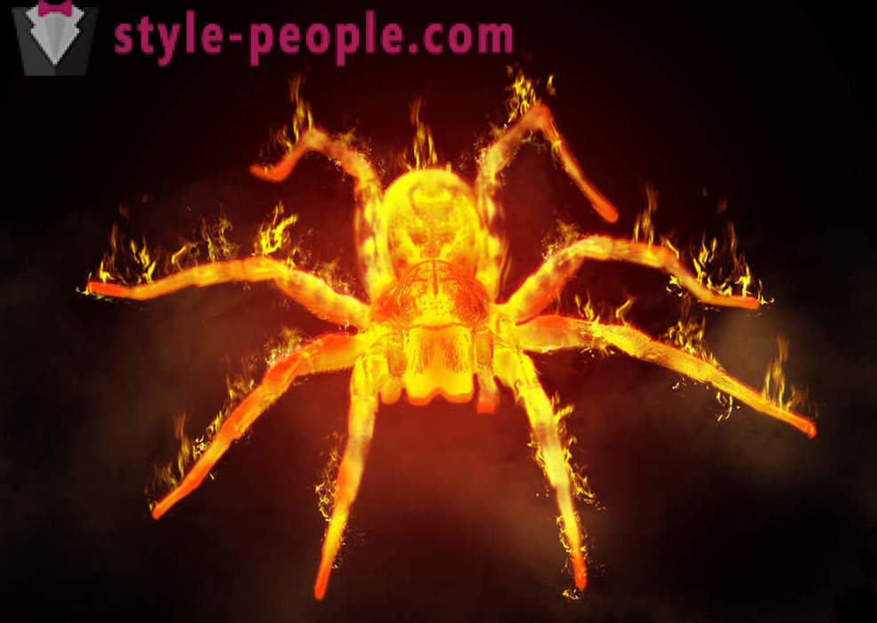 „Panie, wypalić!” Albo historie o ludziach, którzy prawie spalił się żywcem, próbują zabić trochę ładny mały pająk