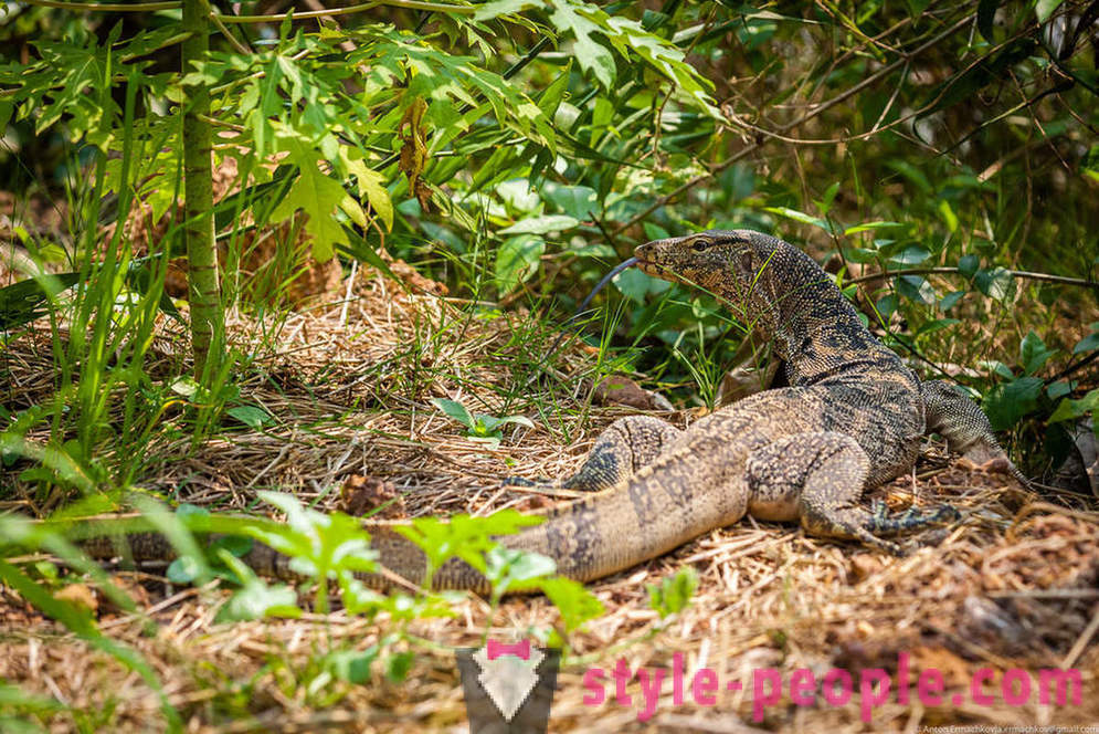 Bangkok. Park Muang Boran