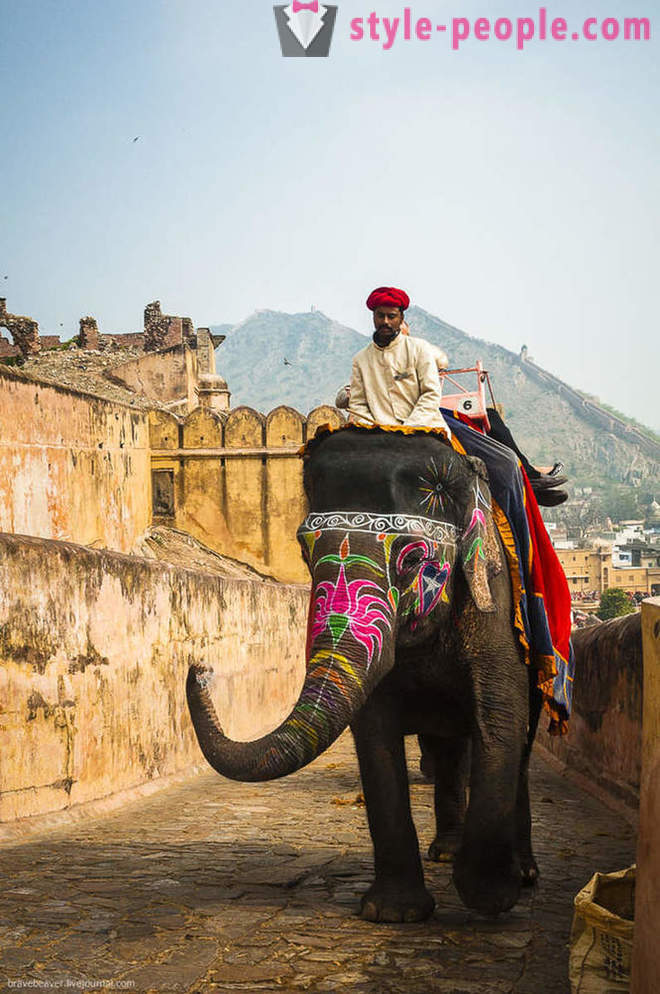 Podróż do Jaipur Indian