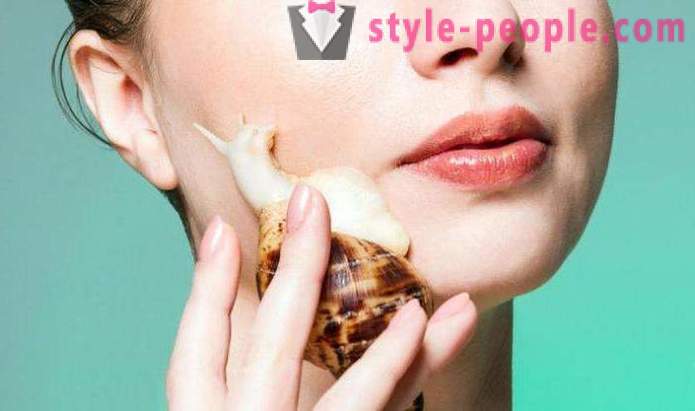 Ślimaki Achatina w kosmetologii: jak korzystać?