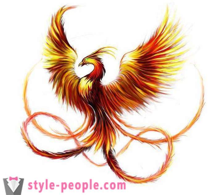 Phoenix Tatuaż: szkice i opcje