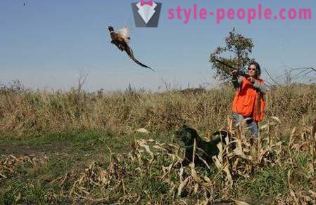 Polowanie na bażanty z husky (foto)