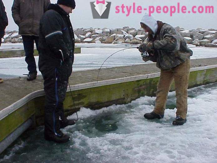Rybacy Uwaga: pstrąg ryby w zimie